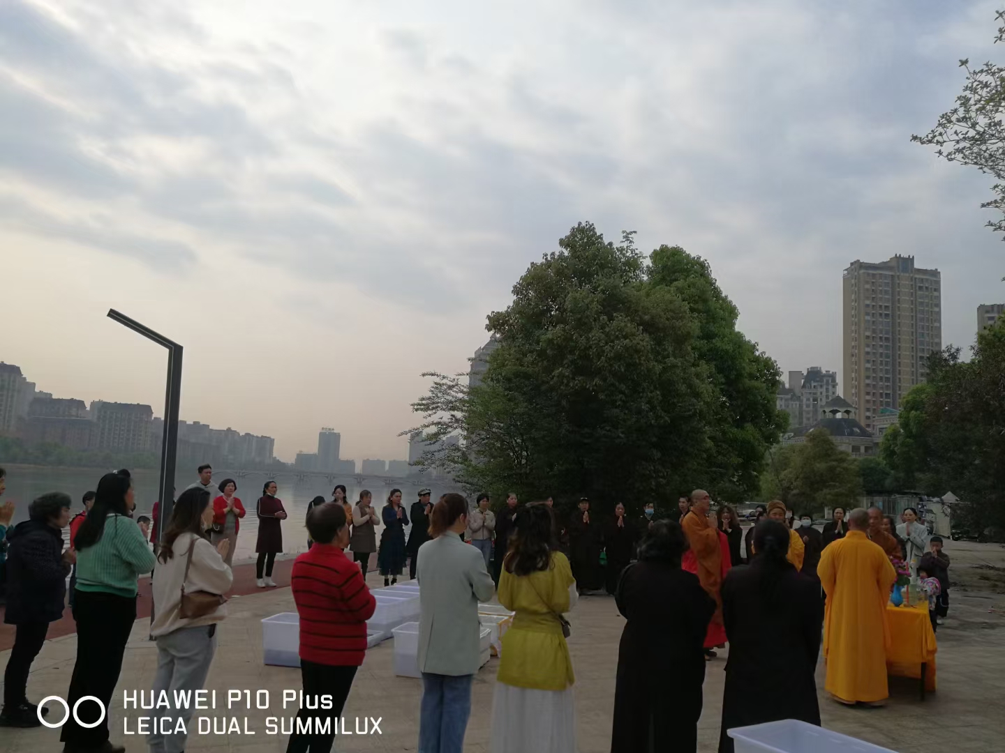 大资本210cc准提菩萨圣诞日法会通启
